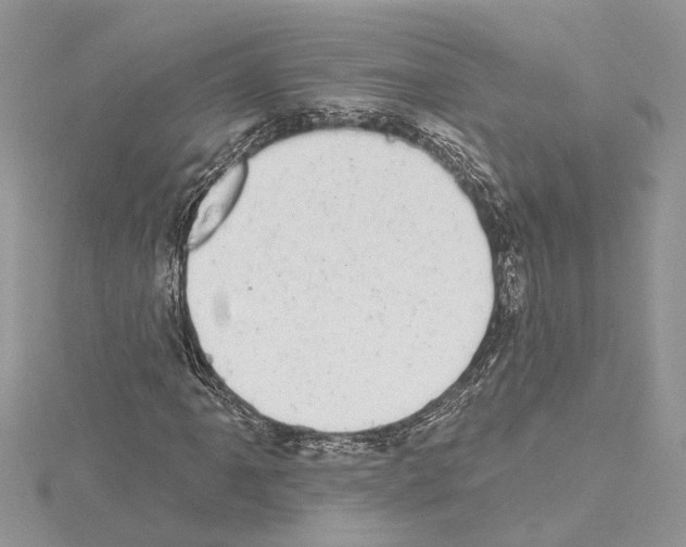 X0000114491061200911301101