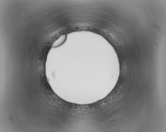 X0000114491062200911301101