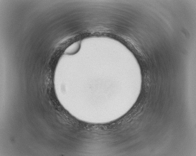 X0000114491063200911301101