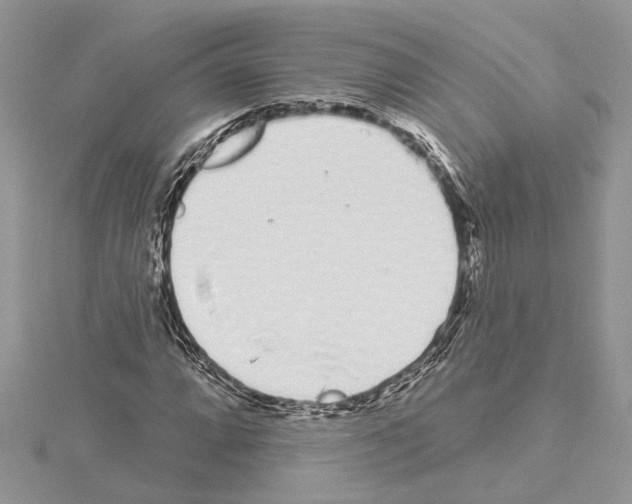 X0000114491064200911301101