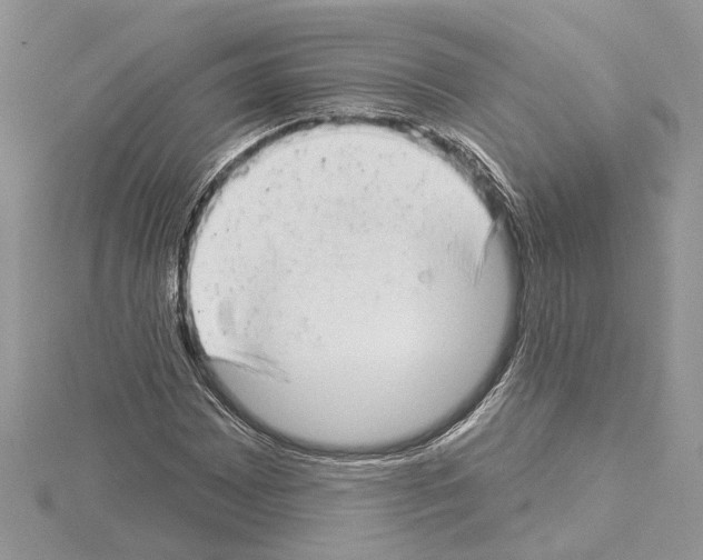 X0000114491065200911301101