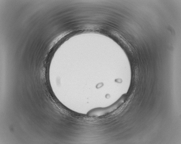 X0000114491066200911301101