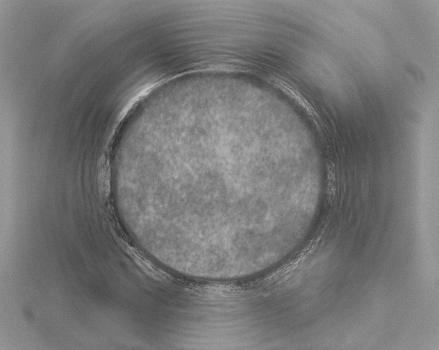 X0000114491067200911301101