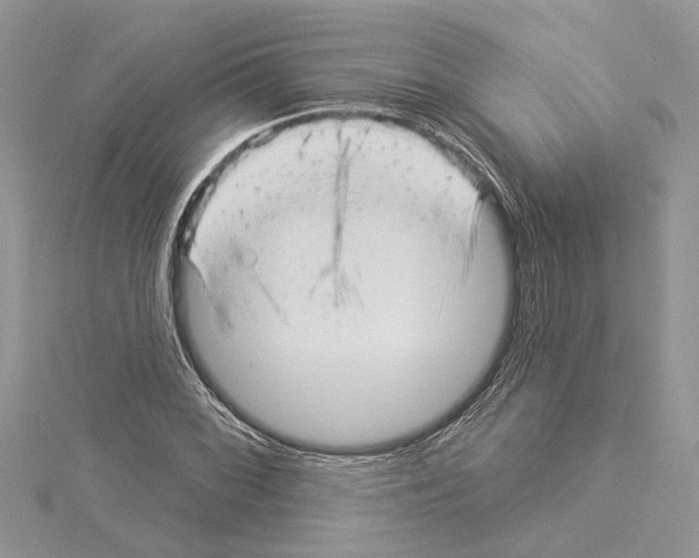 X0000114491068200911301101