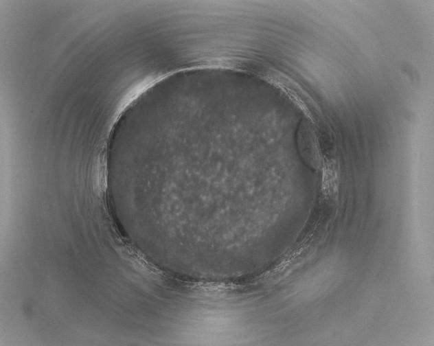 X0000114491069200911301101