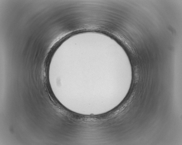 X0000114491070200911301101