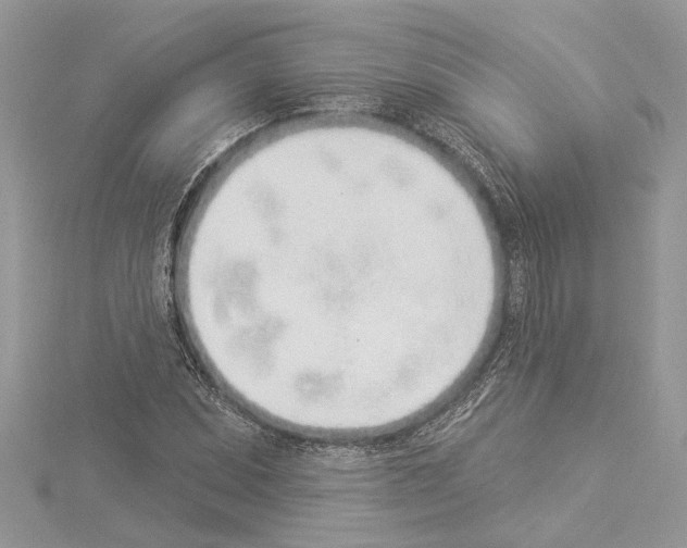 X0000114491071200911301101