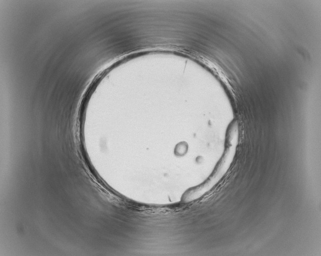 X0000114491072200911301101