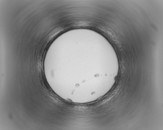 X0000114491073200911301101