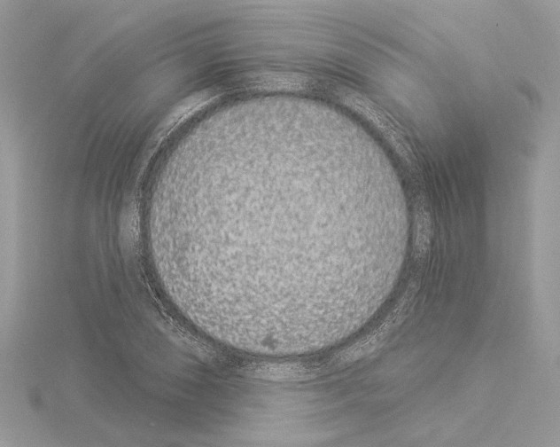 X0000114491074200911301101