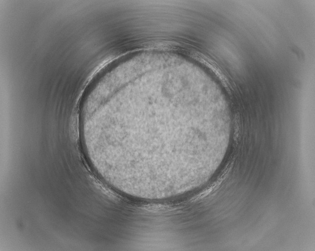 X0000114491075200911301101