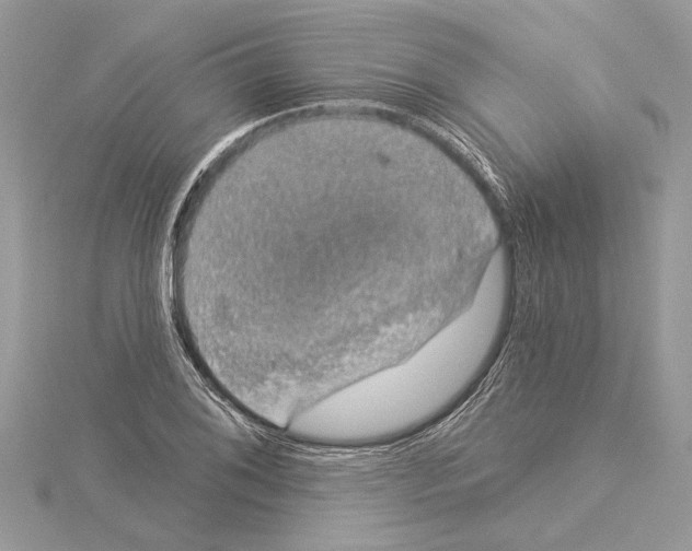 X0000114491076200911301101