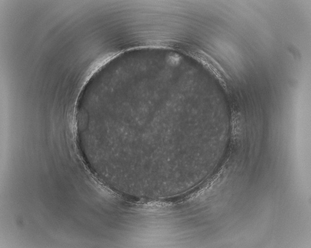 X0000114491077200911301101