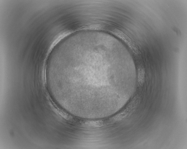 X0000114491078200911301101