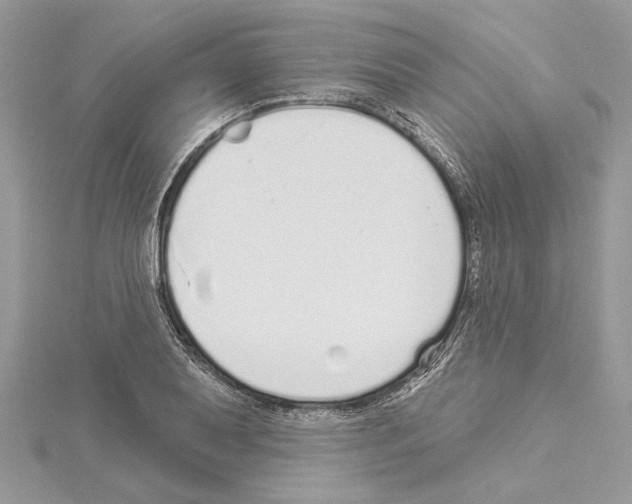 X0000114491079200911301101