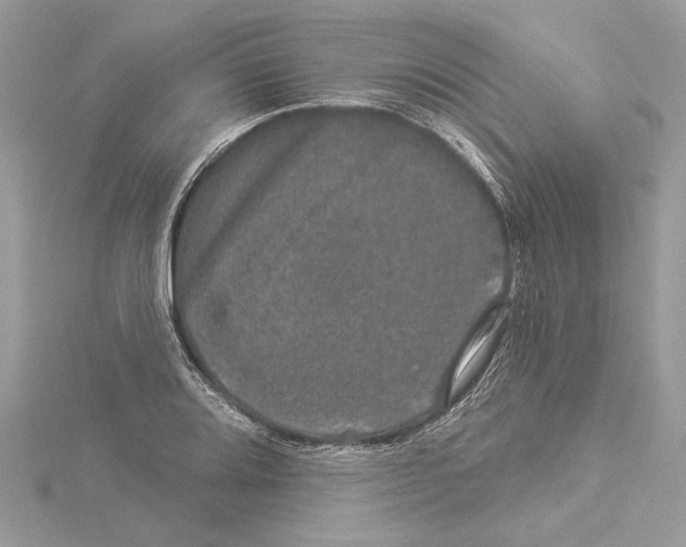 X0000114491080200911301101