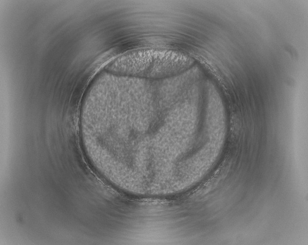 X0000114491081200911301101