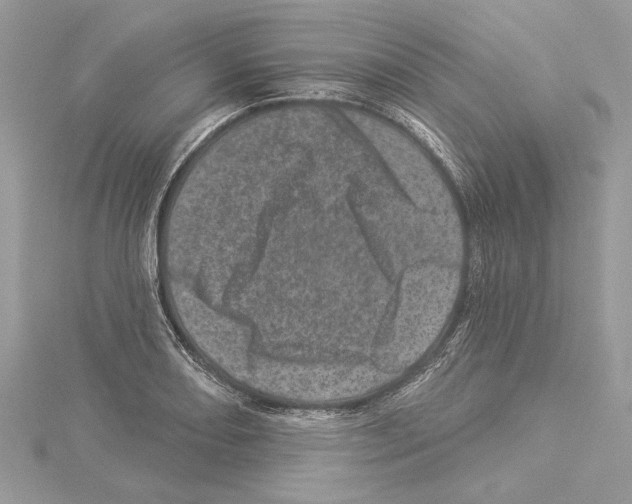 X0000114491082200911301101