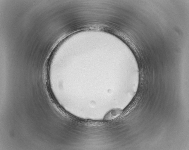 X0000114491083200911301101