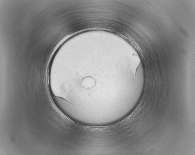 X0000114491084200911301101