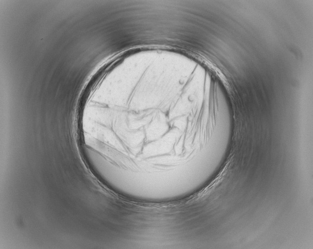 X0000114491085200911301101