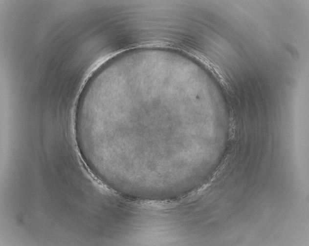 X0000114491086200911301101