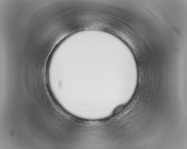 X0000114491087200911301101