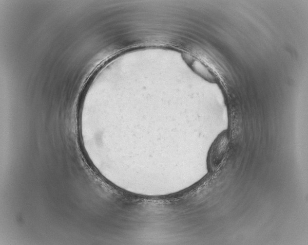 X0000114491088200911301101