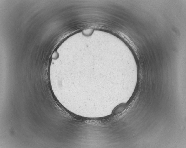 X0000114491089200911301101