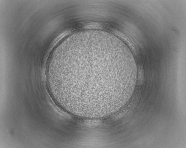 X0000114491090200911301101