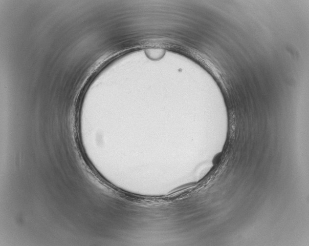 X0000114491091200911301101