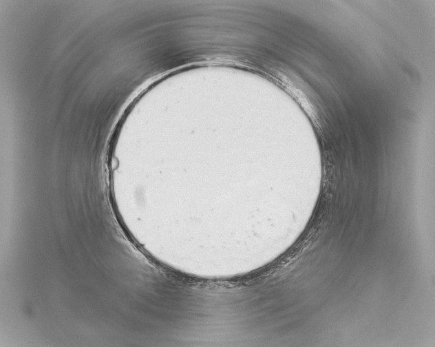 X0000114491092200911301101