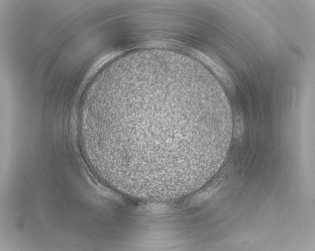 X0000114491094200911301101