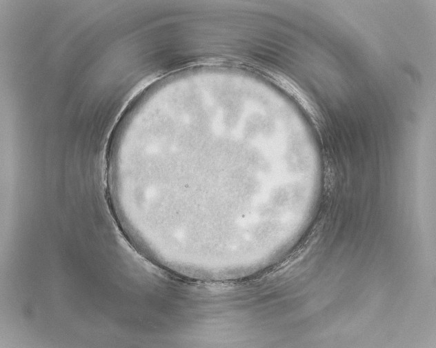 X0000114491095200911301101