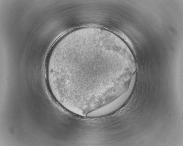 X0000114491096200911301101