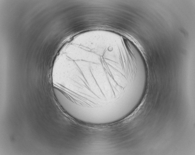 X0000114491097200911301101