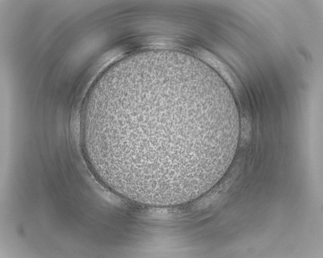 X0000114491098200911301101