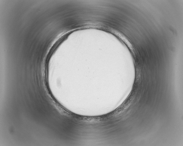 X0000114491099200911301101