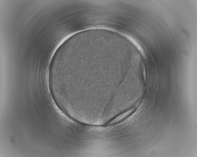 X0000114491100200911301101