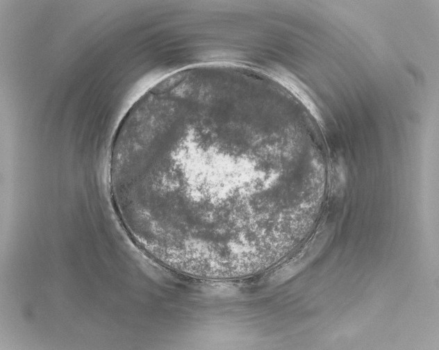 X0000114491101200911301101