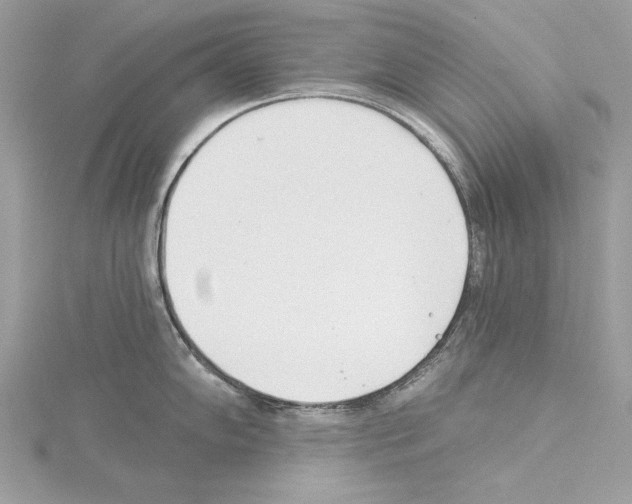 X0000114491102200911301101