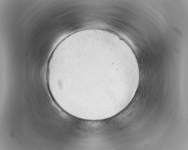 X0000114491103200911301101