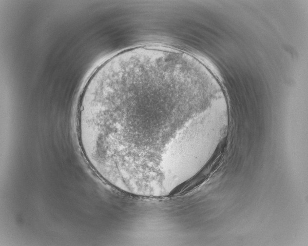 X0000114491104200911301101