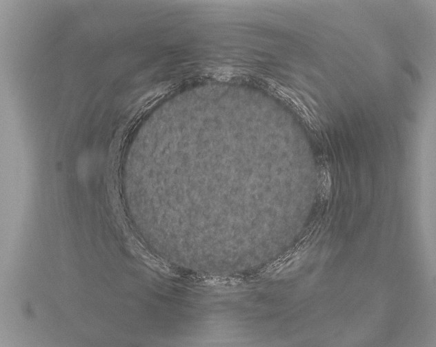 X0000114491105200911301100