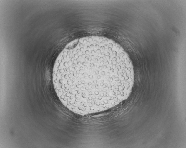 X0000114491106200911301100