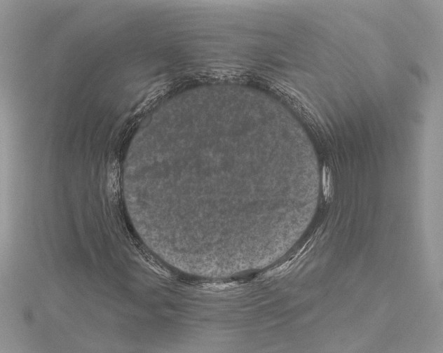 X0000114491107200911301100