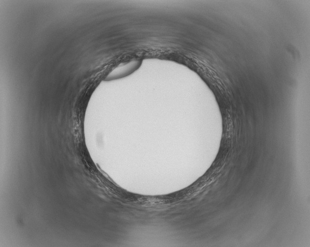 X0000114491109200911301100