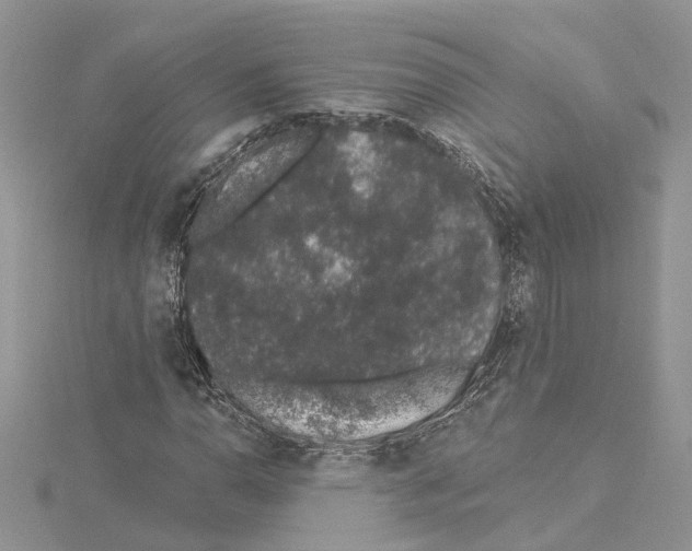 X0000114491110200911301100