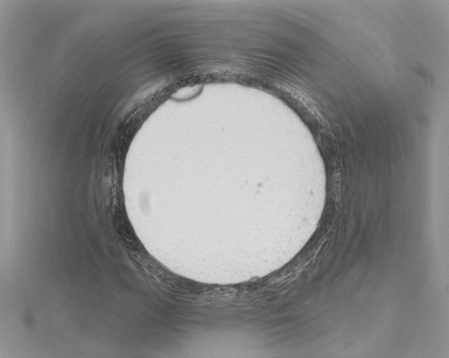 X0000114491111200911301100