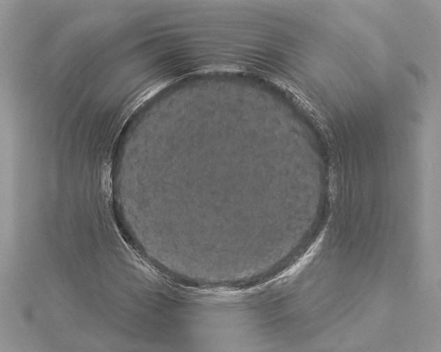 X0000114491113200911301100